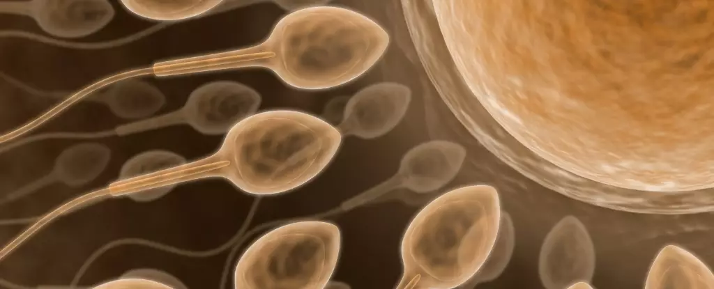 Revolutionary Male Contraceptive Breakthrough Promises Safe and Reversible Birth Control