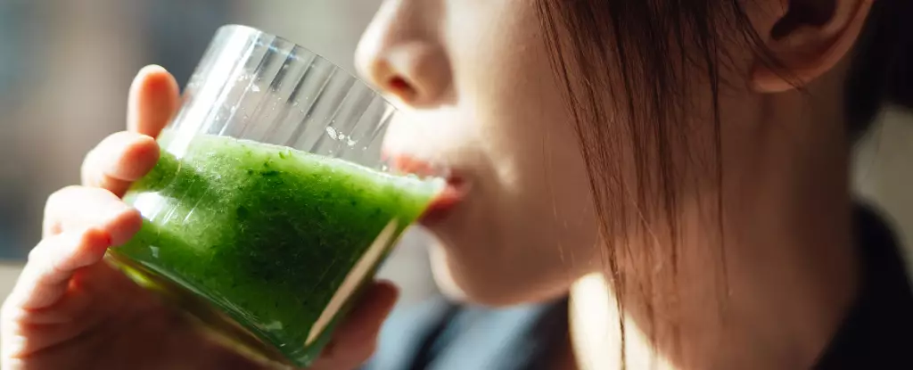The Power of Balance: Rethinking the Fiber Explosion for Genuine Wellness