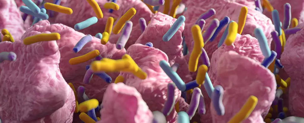 Unlocking Natural Weight Loss: The Promise of Gut Microbes and Metabolites