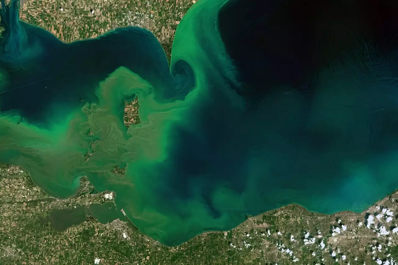 Reviving the Vital Lifelines: A Critical Look at Global Lake Resilience and Our Role