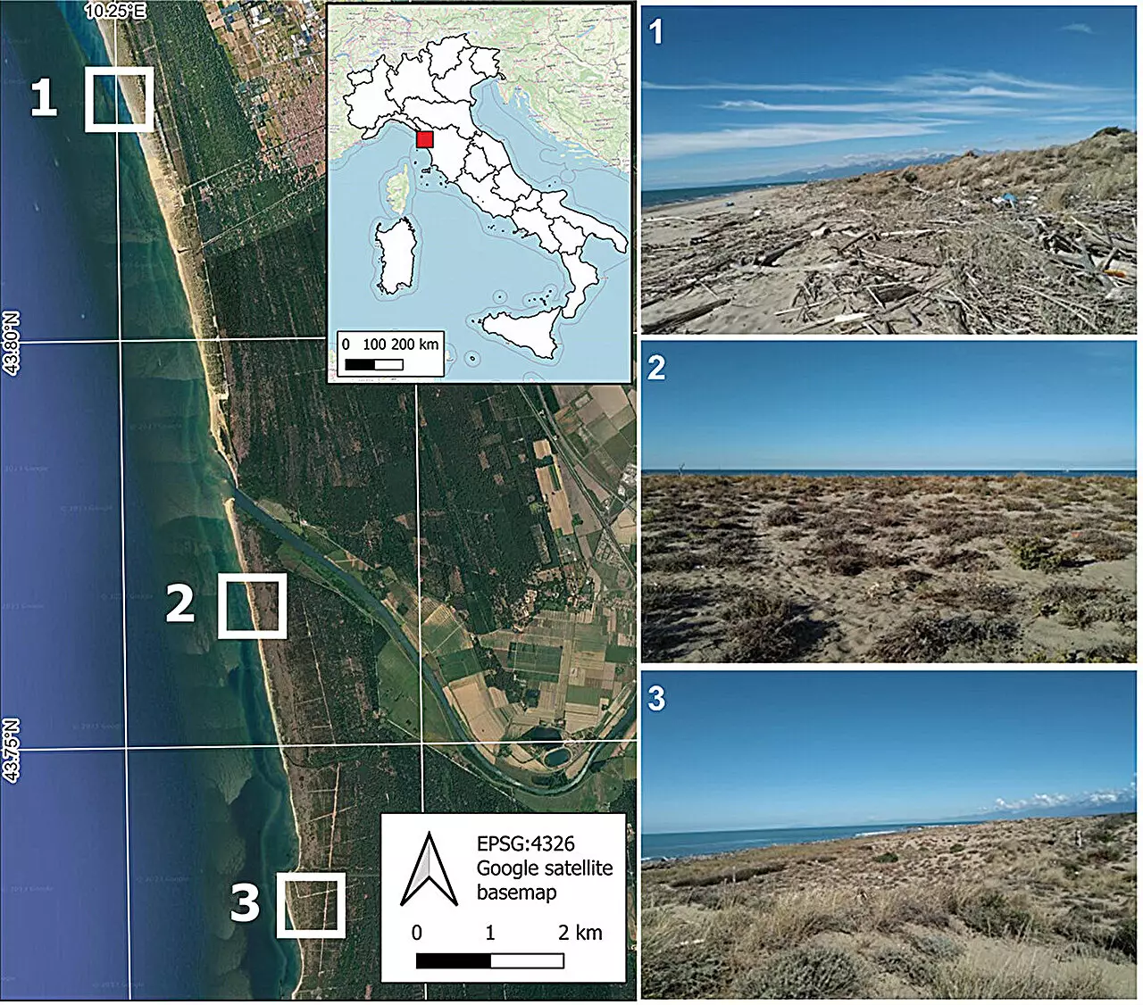 Revolutionizing Coastal Dune Conservation: The Power of Precision Mapping