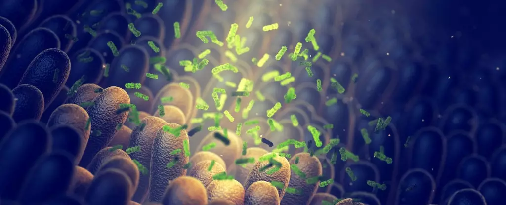 Unlocking the Power of Your Gut: How Microbiome Transplants Could Revolutionize Long-Term Metabolic Health